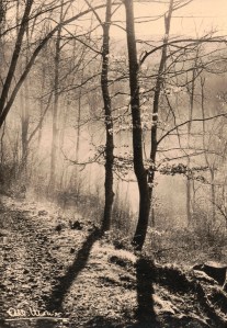 Monier 1957 A la rencontre de l'enthousiasme2 AH951